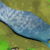 River.png